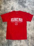 Champion Collegiate Baseball Tee - Red & White
Graphic